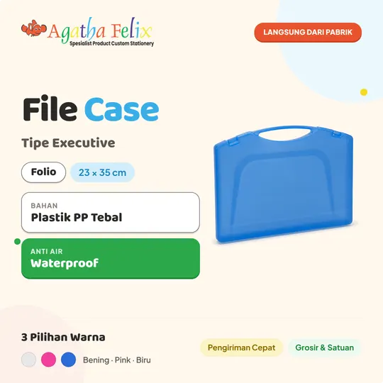 File Case